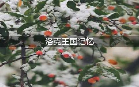 洛克王国记忆瓶获得方法攻略(洛克王国记忆)