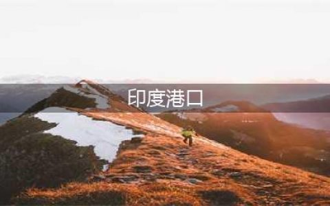 印度11个主要港口情况(印度港口)