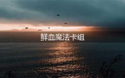 《炉石传说》鲜血魔法卡组用什么好 鲜血魔法卡组使用配置推荐(鲜血魔法卡组)