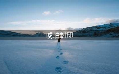 《魔兽世界》怀旧服琥珀封印怎么样 装备属性介绍(琥珀封印)