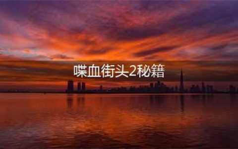 夺命邮差2秘籍有哪些 喋血街头2秘籍大全