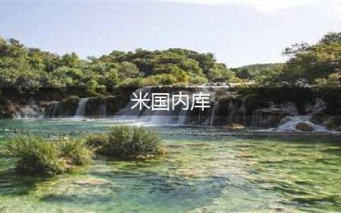 《最强蜗牛》7月29日更新了什么内容 7月29日更新内容介绍(米国内库)