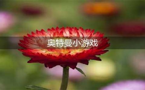 奥特曼小游戏合集 2022奥特曼小游戏有什么(奥特曼小游戏)