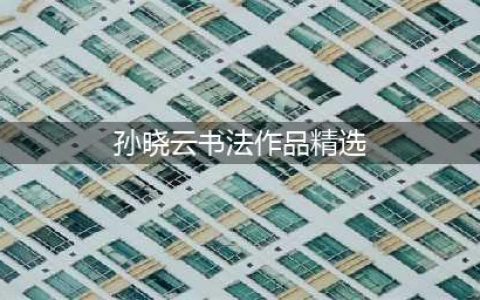 书法有法——女书家孙晓云书法作品精选(孙晓云书法作品精选)