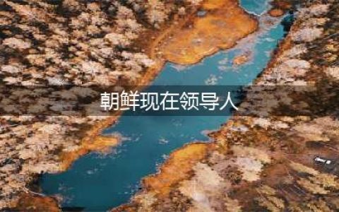 朝鲜新一届国家领导班子亮相(朝鲜现在领导人)