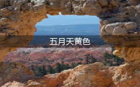 五月天又惹争议！在演唱会开黄腔，言语低俗，阿信提醒小孩捂耳朵(五月天黄色)